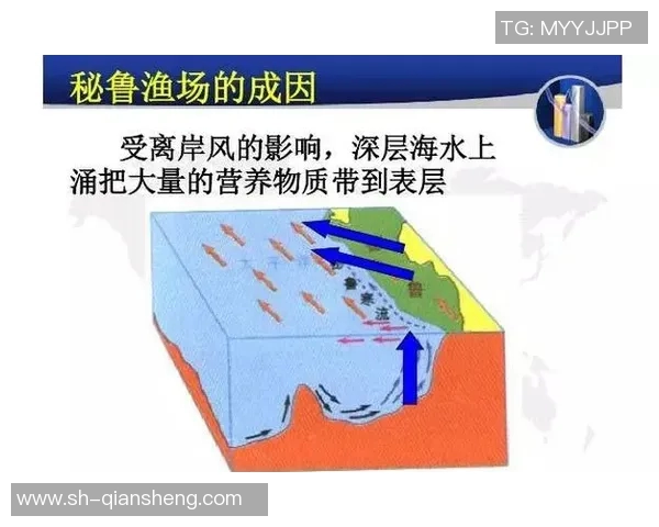 比赛进行观察的深度分析与策略调整探讨