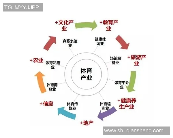 构建高效的mk体育管理体系助力体育行业可持续发展与创新提升
